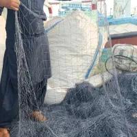 تور شیر ماهی و اهوری