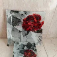 میوه خوری وکتری