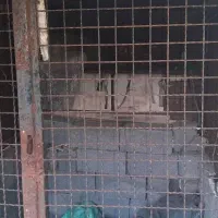 باربند پیکان وانت|قطعات یدکی و لوازم جانبی|کومله, |دیوار