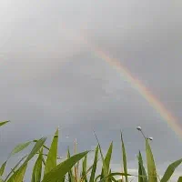 زمین فروشی روستای فدیشه