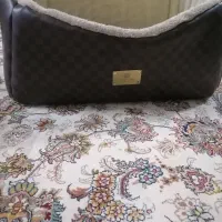 جای خواب سک وگربه