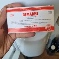 داروی تقویت سیستم ایمنی سگ و گربه و کبوتر