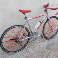 2 تا دوچرخه کورسی و فونیکس