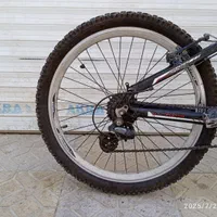 دوچرخه حرفه‌ای ویوا اصل|دوچرخه، اسکیت، اسکوتر|اردبیل, |دیوار