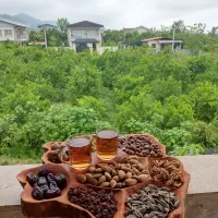 میز جلو مبلی وعسلی و  اوردو خوری روستیک
