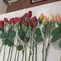 گل گلدان مصنوعی در حد نو|گل مصنوعی|قم, شهرک فاطمیه|دیوار