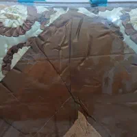 لحاف و روتختی ۶ تکه نو استفاده نشده|حراج|خرمشهر, |دیوار