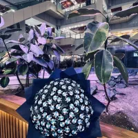 دسته پروانه