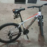 دوچرخه ویوا تایوان اصل اقساط