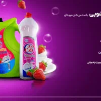 شوینده سازمانی و عمده|مواد شوینده و دستمال کاغذی|تهران, شهرک شریعتی|دیوار