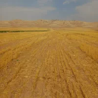 زمین کشاوزی
