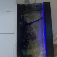 ارتفاع پورسانت عرض صدوبیست سانت