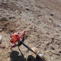 چاله کن|خدمات باغبانی و درختکاری|سروآباد, |دیوار