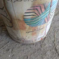 رنگ روغنی تاریخ گذشته سالم