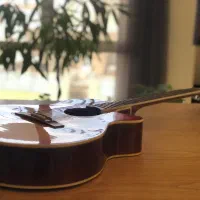 گیتار الکترو آکوستیک برند zinn