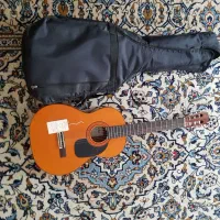 گیتار AK-80اریا