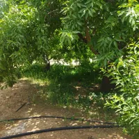 باغ  ۵۰۰ متری در پل زمانخان|فروش زمین و ملک کلنگی|اصفهان, ماشاده (رهنان)|دیوار