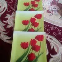 شش عدد بشقاب مربی بفرش میرسد