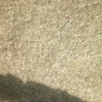 خارشتر نرم و دانه دار|لوازم جانبی حیوانات|نیشابور, ماروسک|دیوار