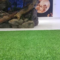 سورپرایز تولد در کافه پایتخت|خدمات پذیرایی، مراسم|تایباد, |دیوار