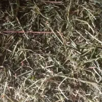 یونجه|لوازم جانبی حیوانات|کشاورز, |دیوار