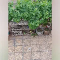 اجاره سوییت|اجارهٔ کوتاهمدت آپارتمان و سوئیت|لنجان, |دیوار