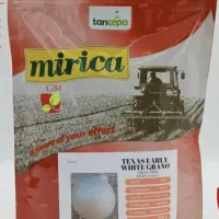 مینروا و ریو براوو دستگیر و مریکا ترکیه