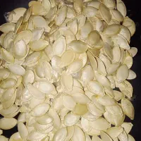 تخمه کدو گوشتی خام تازه
