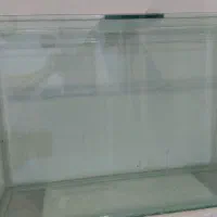 آکواریوم سالم