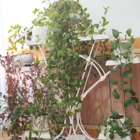 استند گلدان فلزی|صنایع دستی و سایر لوازم تزئینی|دره شهر, |دیوار