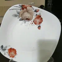 ظروف ارکوپال 18نفره|ظروف سرو و پذیرایی|سیرجان, |دیوار