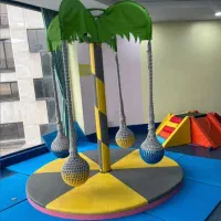 تاب نخل چرخ و فلک خانه بازی