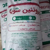 سویا لیفود