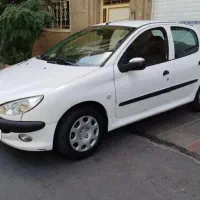 معاوضه 206 تیپ دو  1401 بی رنگ و ضربه با پارس،سورن