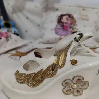 تعدادی کفش مجلسی|کیف، کفش، کمربند|تهران, شهرآرا|دیوار