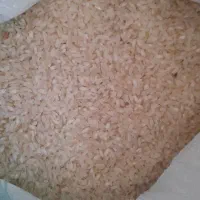 برنج کامفیروزی