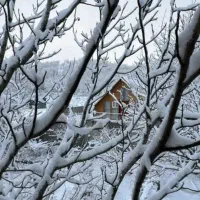 ویلا   کلبه  سیسخت