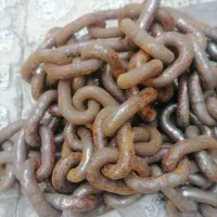 زنجیر ضخیم