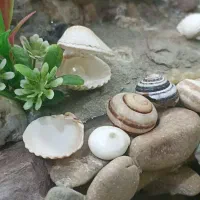 آبنما دست ساز . ارزون آرزون مناسب برای همه جا .|صنایع دستی و سایر لوازم تزئینی|قم, نیروگاه|دیوار