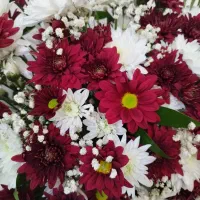 باکس گل طبیعی|گل و گیاه طبیعی|شیراز, شهرک سعدی|دیوار