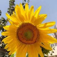 راهنمایی