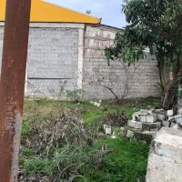 ۳۰۰ متری زمین در فخب