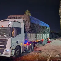 خریدار نوار تیپ مستقیم کارخانه|خدمات باغبانی و درختکاری|اردبیل, |دیوار