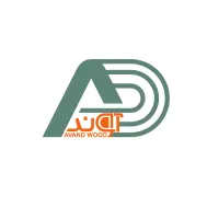 حسابدار خانم مسلط به حسابداری جاری