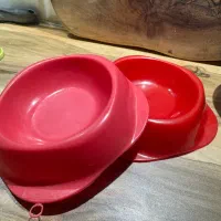 تمامی ظرفهای گربه از جمله استیل وبرس.نو زیرقیمت۷۰۰|لوازم جانبی حیوانات|تهران, امیریه|دیوار