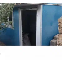 کانکس سندویچ پانل ماموت درحدنونو