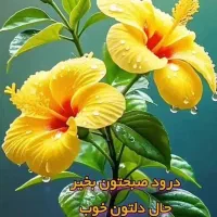 تدریس خصوصی پایه اول تا سوم ابتدایی