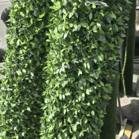 فروش گرین وال،فنس،چمن مصنوعی و انواع تزئینات سبز|گل مصنوعی|تهران, بازار|دیوار