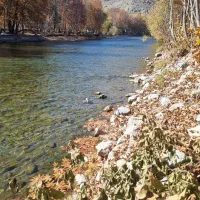 راننده پایه دوم میخواهم