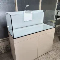 آکواریوم های ریملس در ابعاد مختلف|ماهی|رشت, پستک|دیوار